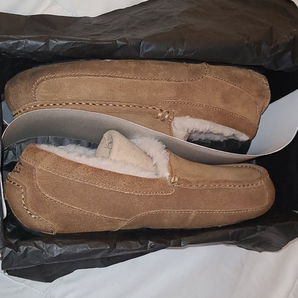 Men Ugg Ascot slippers